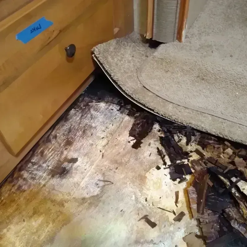 Best Wood Floor Water Damage Service in Mayville, NY